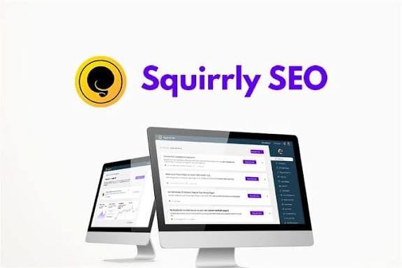 SQUIRRLY SEO
